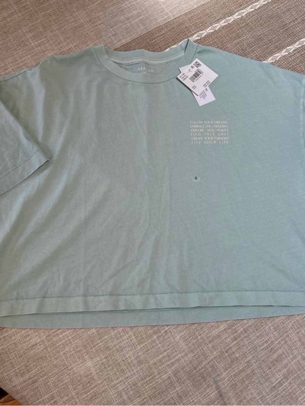 American Eagle Outfitters Mint Green Graphic Tee